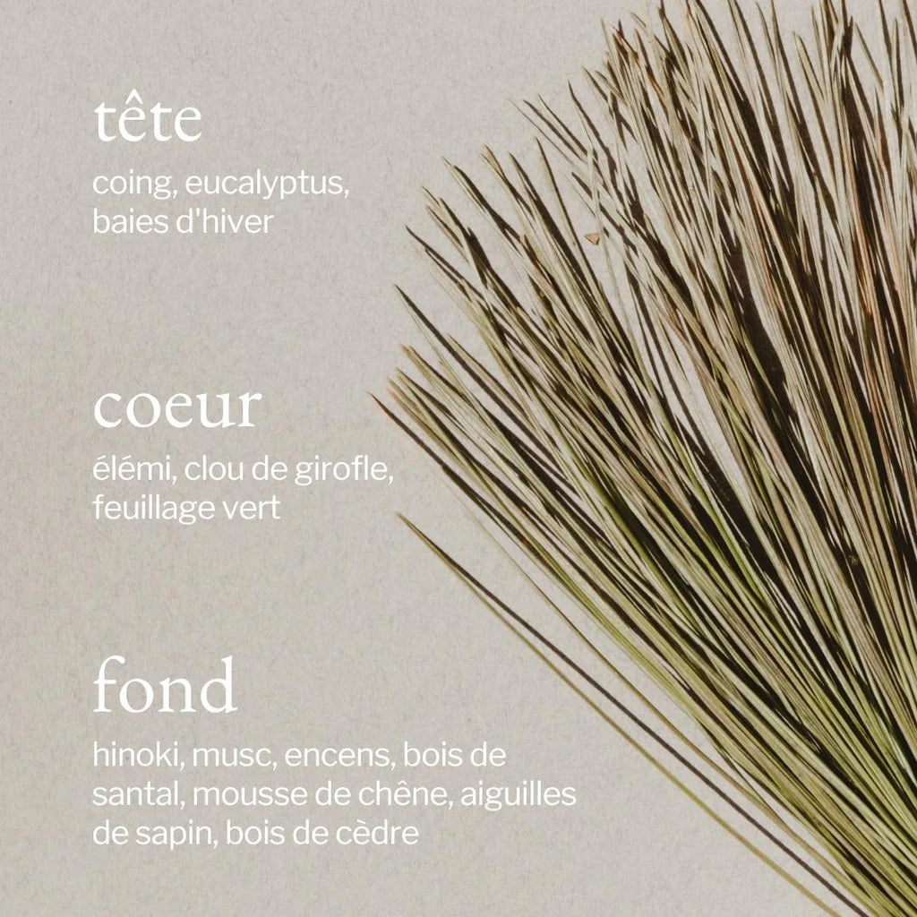 Savon à mains liquide ÉCORCE DE PIN + CEDRE