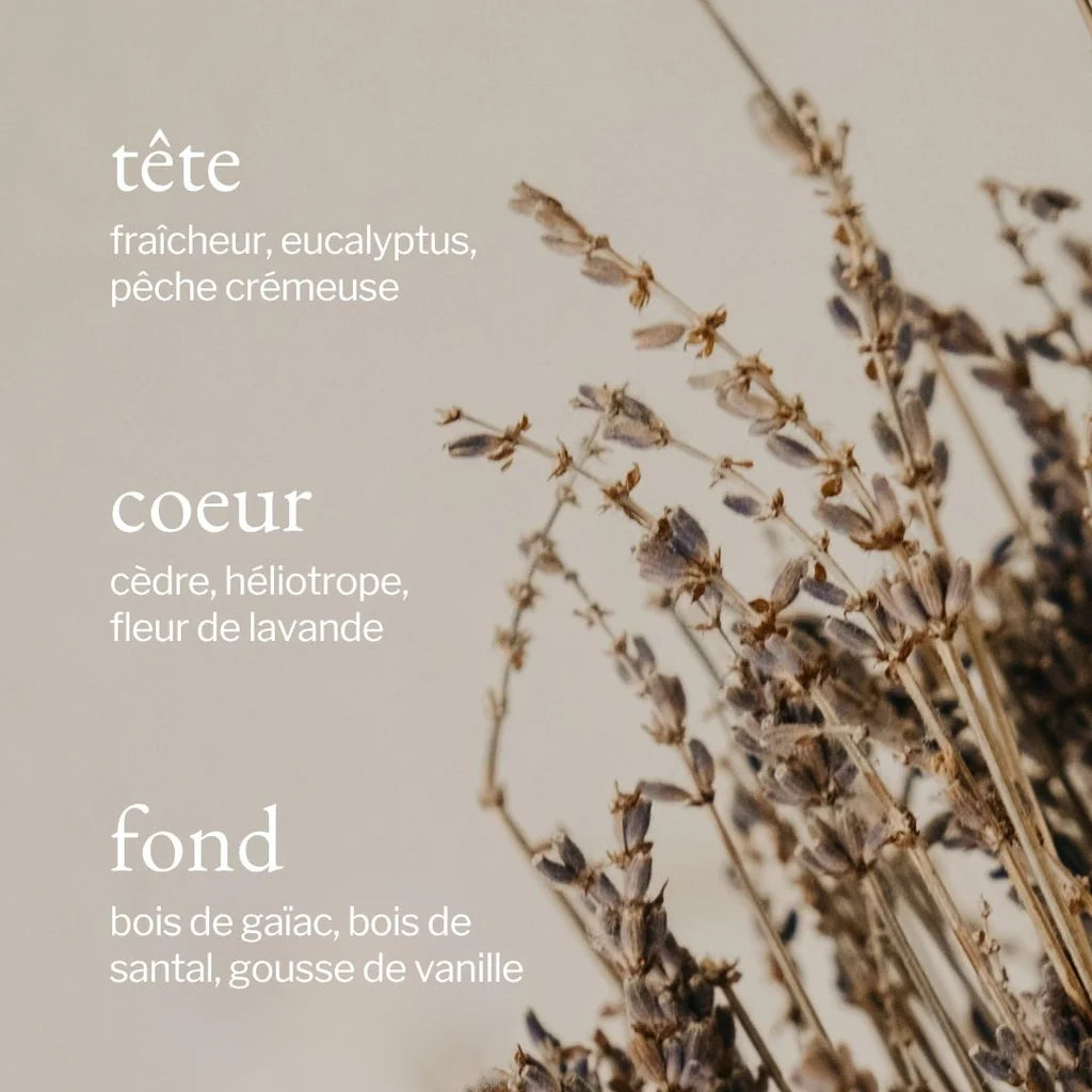 Chandelle LAVANDE, BOIS DE SANTAL & VANILLE