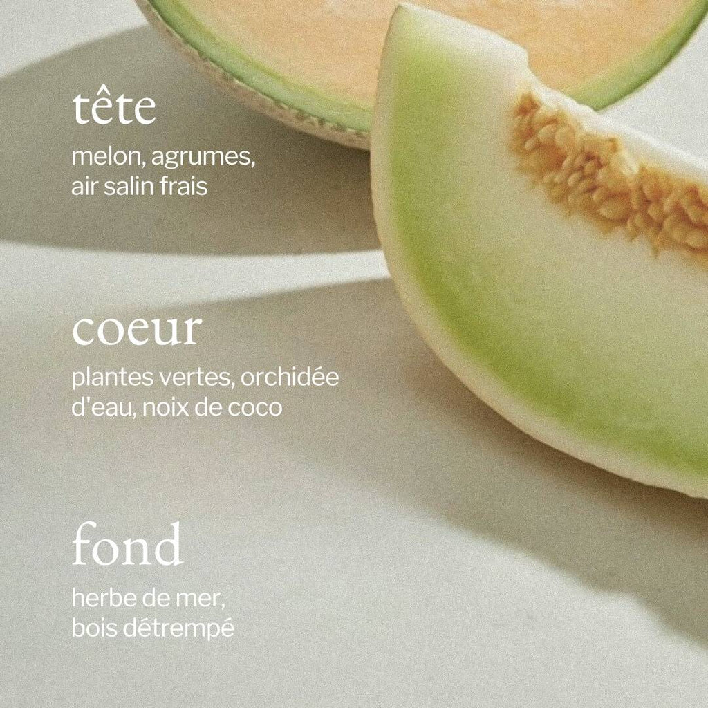 Diffuseur pour voiture MELON + AIR SALIN