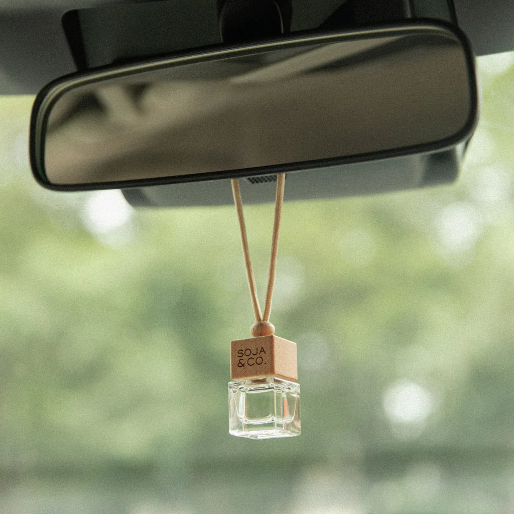 Diffuseur pour voiture MELON + AIR SALIN