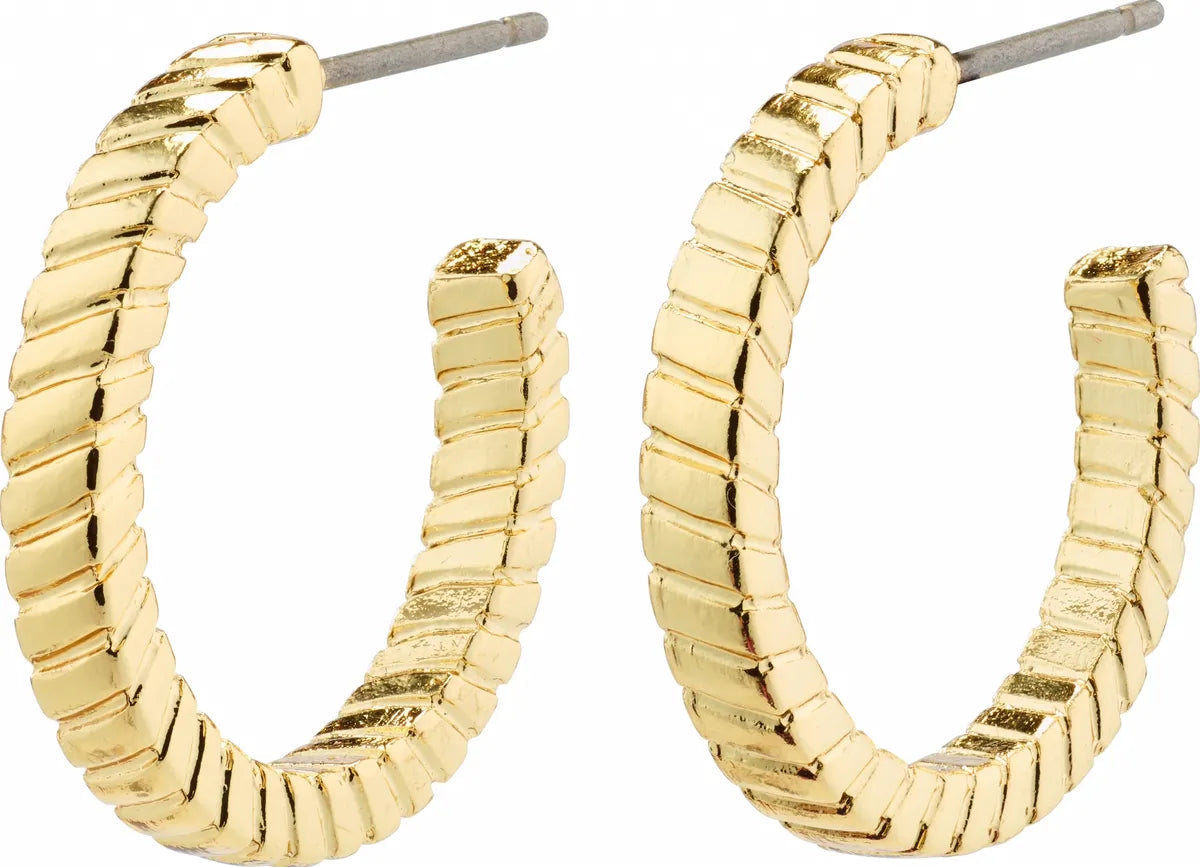 ECSTATIC rings