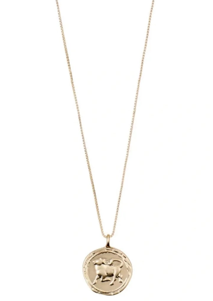 TAURUS horoscope necklace