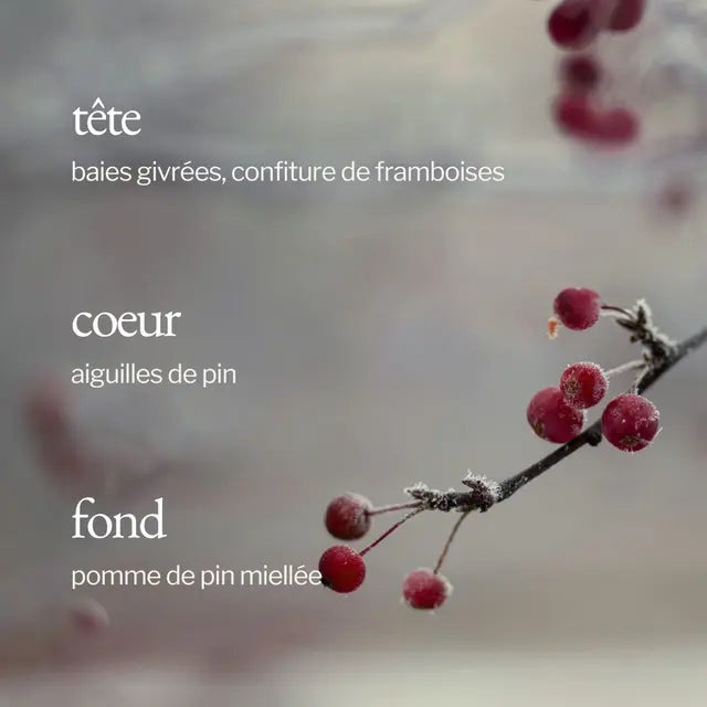 Chandelle BAIES GIVRÉES + PIN