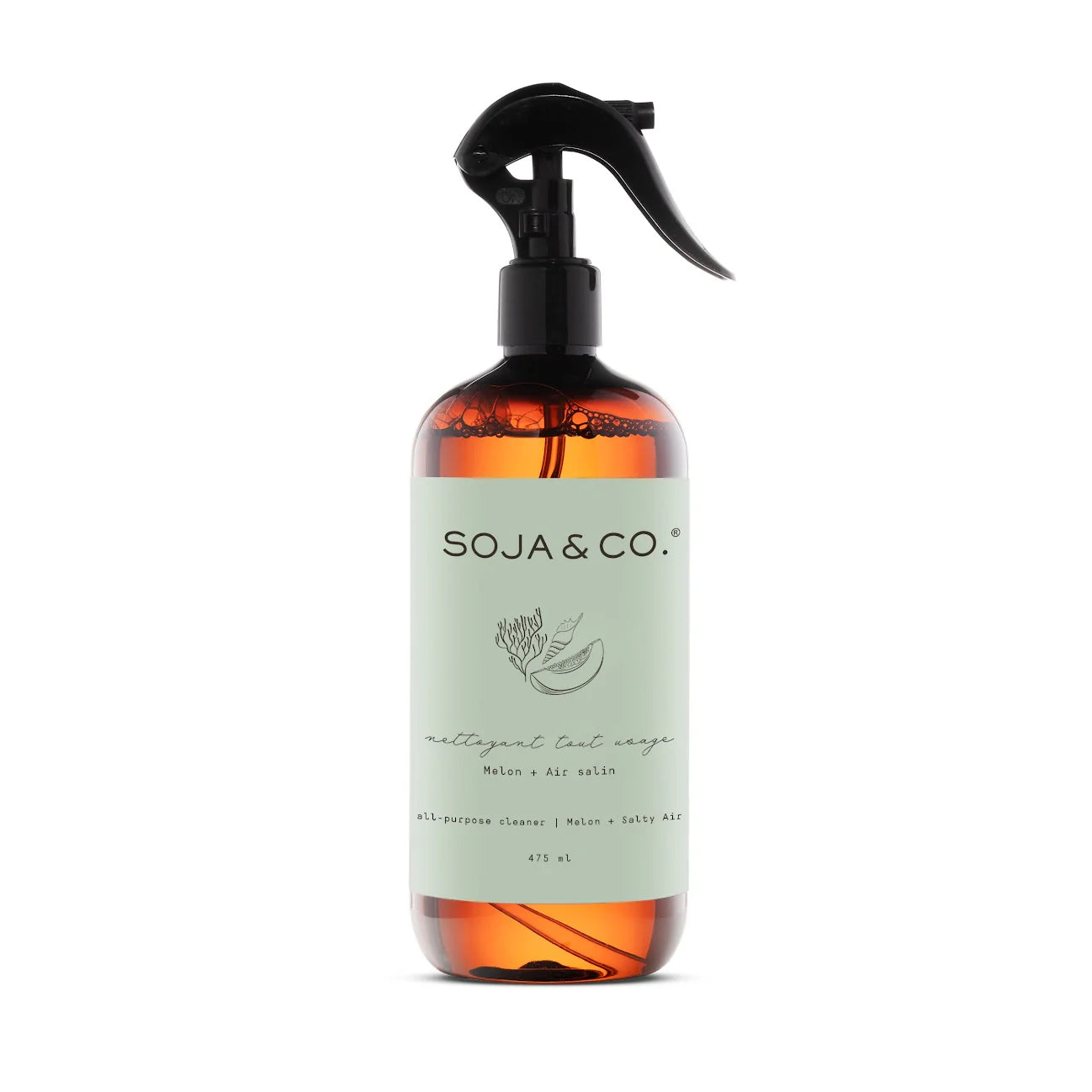 Nettoyant tout usage MELON + AIR SALIN