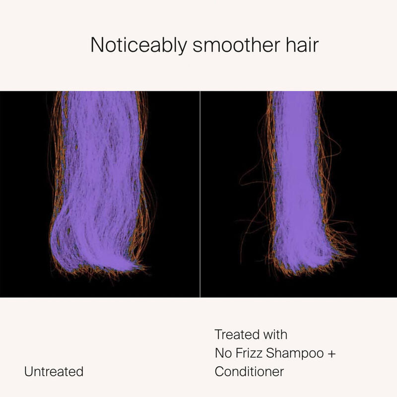 Shampooing ANTI-FRIZZ