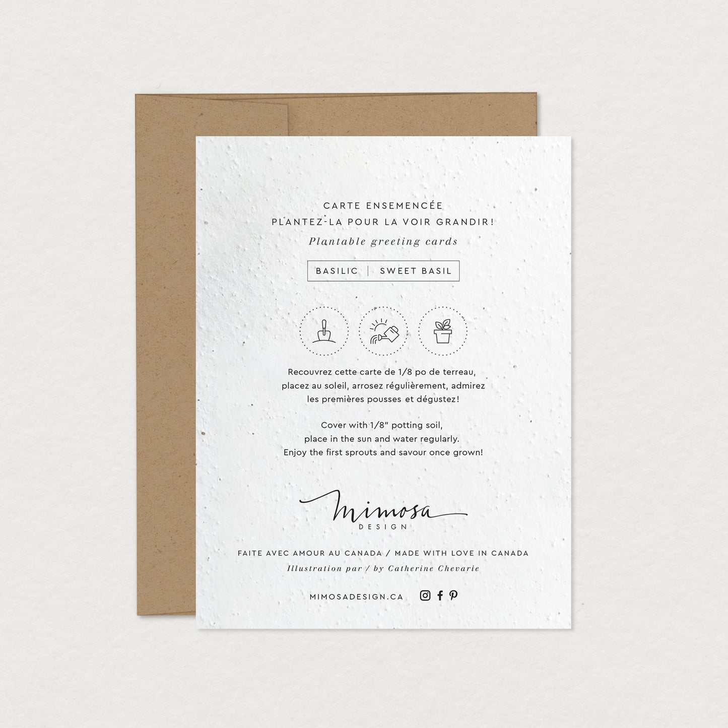 NATURAL FIR greeting card (to plant)