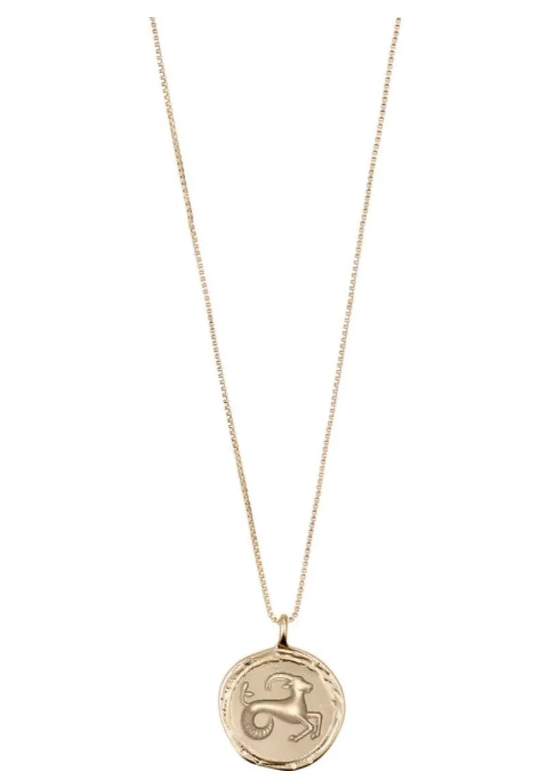 Collier horoscope CAPRICORNE