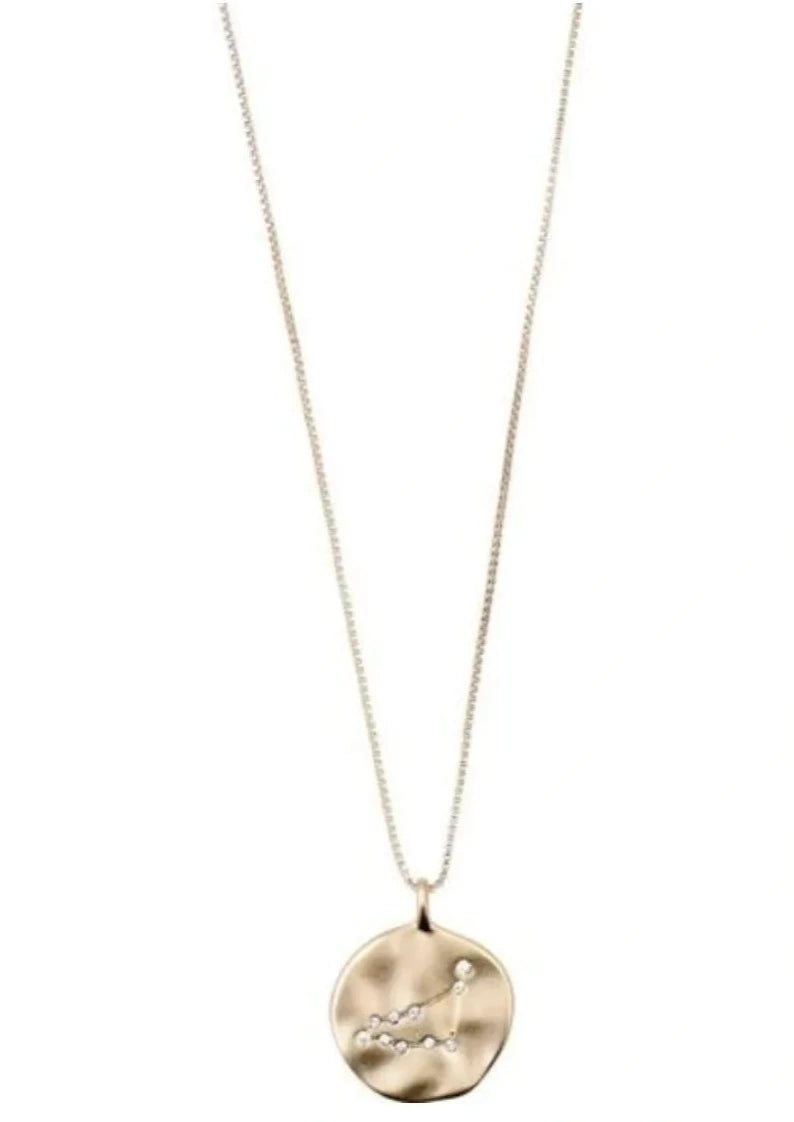 CAPRICORN horoscope necklace
