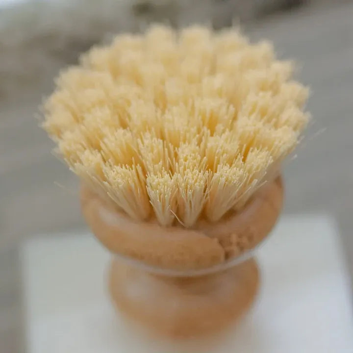 dish brush