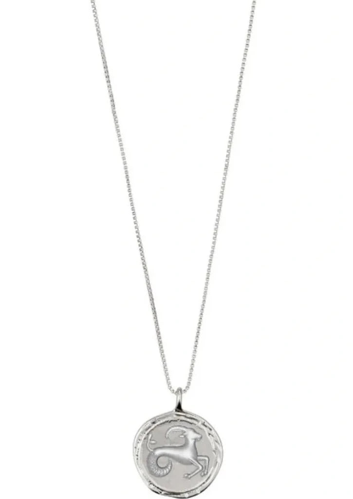 Collier horoscope CAPRICORNE